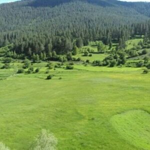 DOĞA,ORMAN VE HAVA